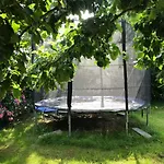 Reetdachkaten In Schuby, Ostsee Dorphof