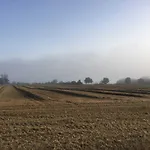 Σπίτι διακοπών Reetdachkaten In Schuby, Ostsee *