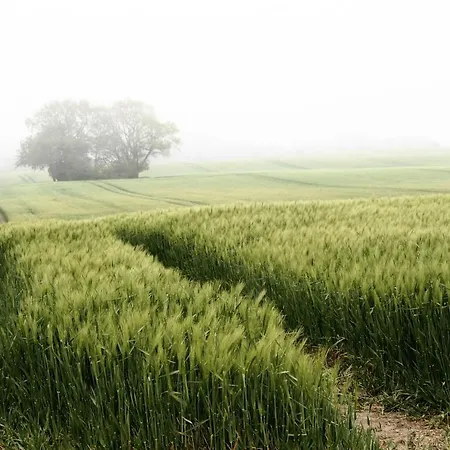 Reetdachkaten In Schuby, Ostsee Dorphof