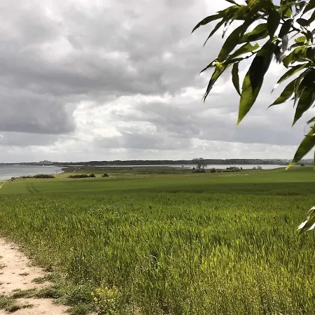 Reetdachkaten In Schuby, Ostsee 別荘