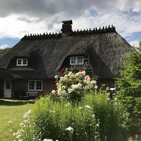 Reetdachkaten In Schuby, Ostsee Dorphof