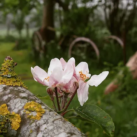 Prázdninový dům Reetdachkaten In Schuby, Ostsee