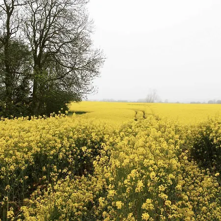 Reetdachkaten In Schuby, Ostsee