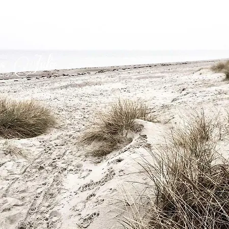 Reetdachkaten In Schuby, Ostsee Semesterbostad