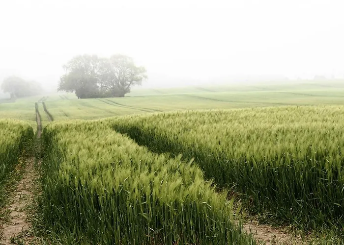 Reetdachkaten In Schuby, Ostsee Dorphof
