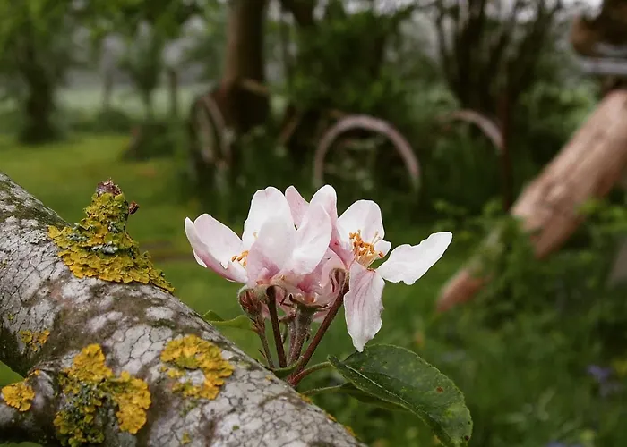 Casa de Férias Reetdachkaten In Schuby, Ostsee