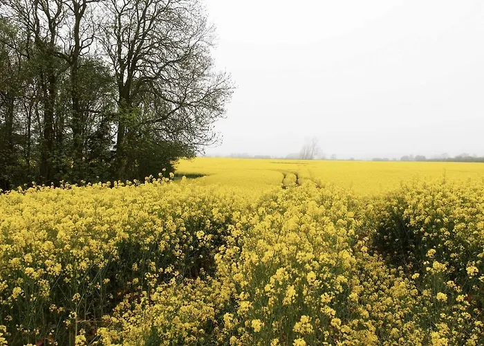 Reetdachkaten In Schuby, Ostsee